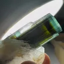 specimen video