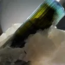 specimen video