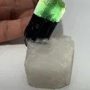 specimen video