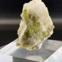 specimen video
