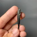 Tourmaline from Pakistan - image 9