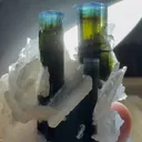 specimen video