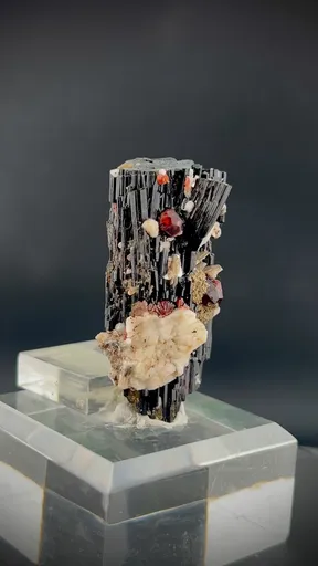 specimen video