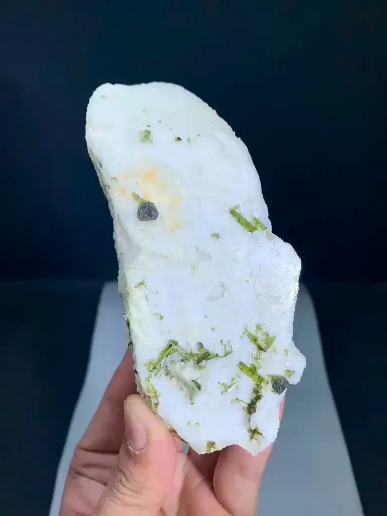 specimen video