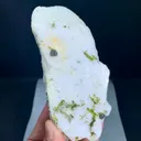 specimen video