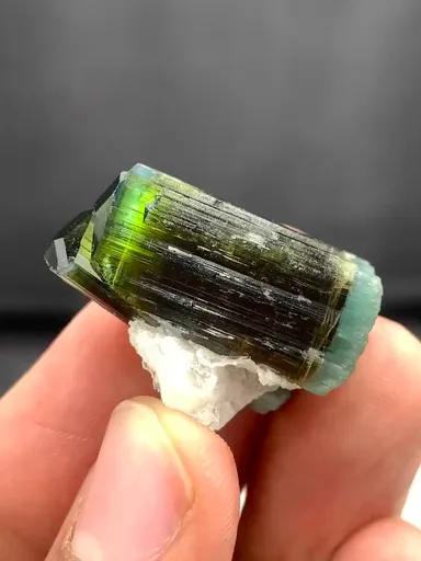 specimen video