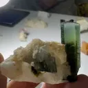 specimen video