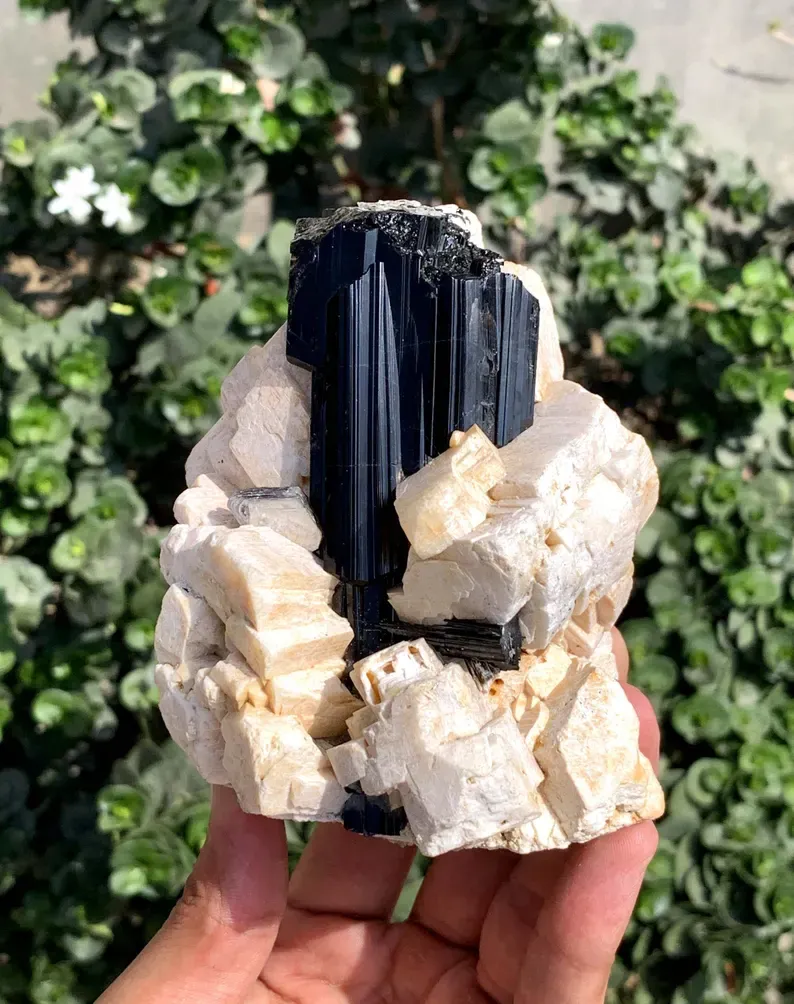 Tourmaline from Pakistan image