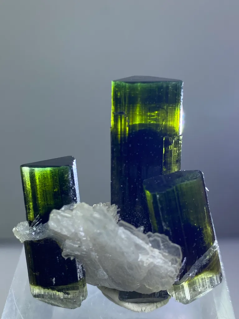 Tourmaline from Pakistan, Gilgit-Baltistan, Roundu District, Haramosh Mts., Stak Nala - image 4