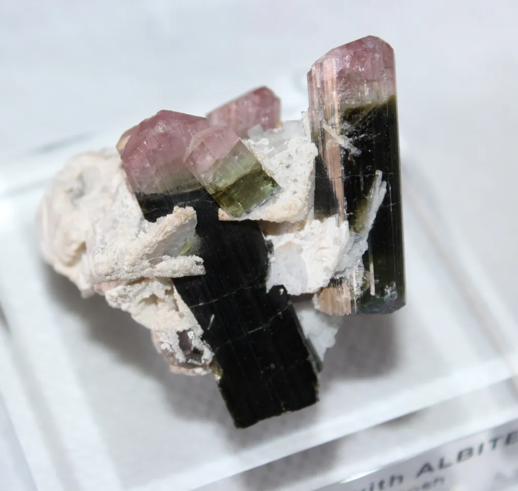 Tourmaline from Pakistan, Gilgit-Baltistan, Roundu District, Haramosh Mts., Stak Nala image
