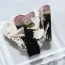 Tourmaline from Pakistan, Gilgit-Baltistan, Roundu District, Haramosh Mts., Stak Nala - image 1