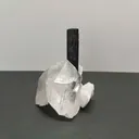 Tourmaline from Pakistan, Gilgit-Baltistan, Roundu District, Haramosh Mts., Stak Nala - image 1