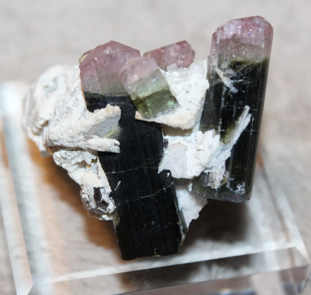 Tourmaline from Pakistan, Gilgit-Baltistan, Roundu District, Haramosh Mts., Stak Nala - image 2