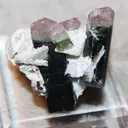 Tourmaline from Pakistan, Gilgit-Baltistan, Roundu District, Haramosh Mts., Stak Nala - image 2