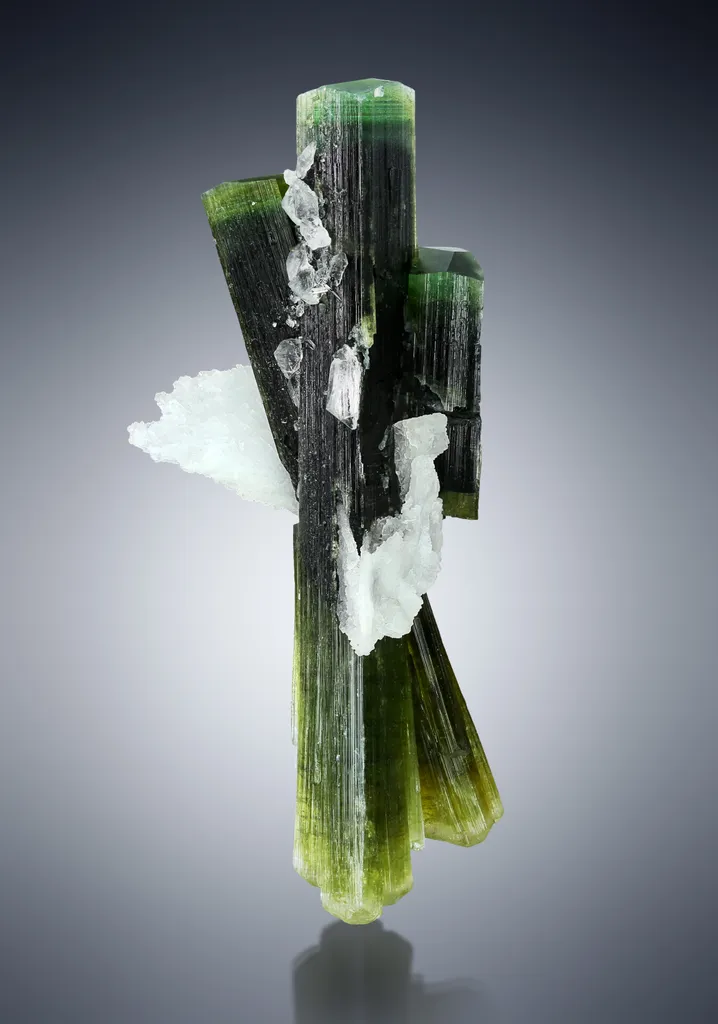 Tourmaline from Pakistan, Gilgit-Baltistan, Roundu District, Haramosh Mts., Stak Nala image
