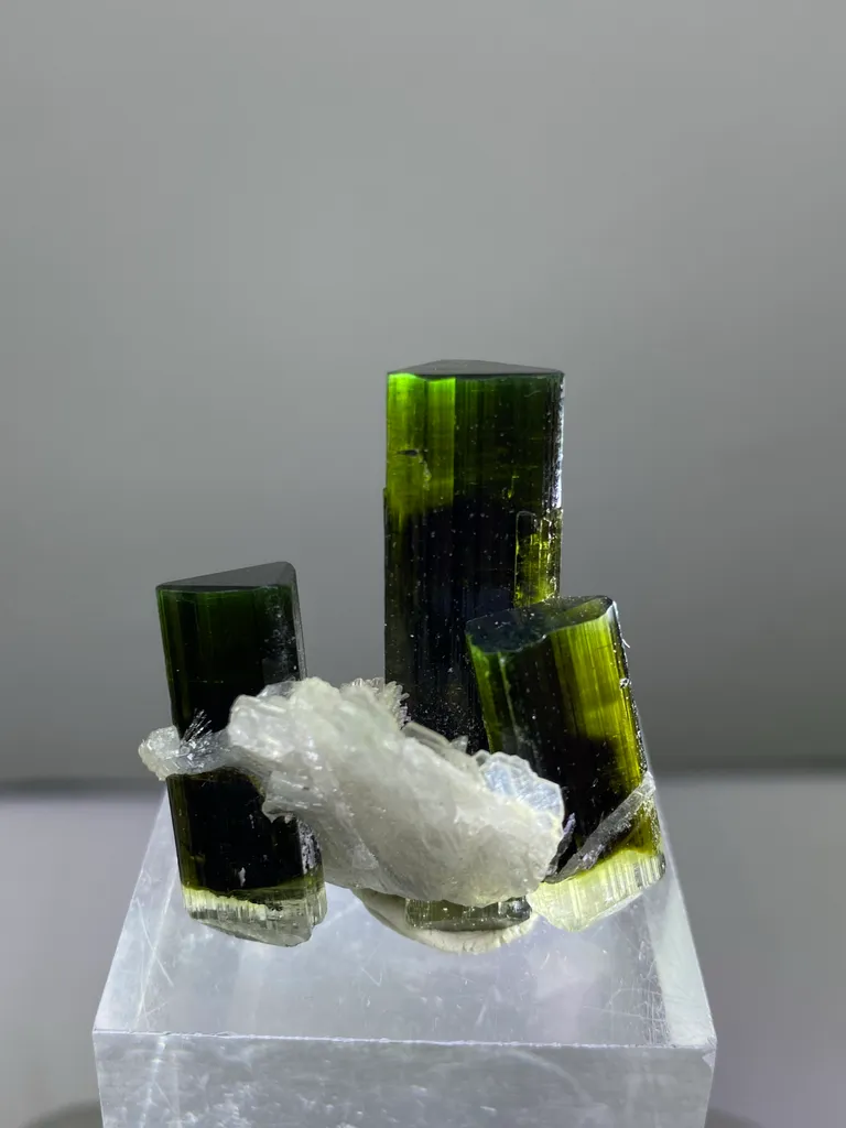 Tourmaline from Pakistan, Gilgit-Baltistan, Roundu District, Haramosh Mts., Stak Nala image