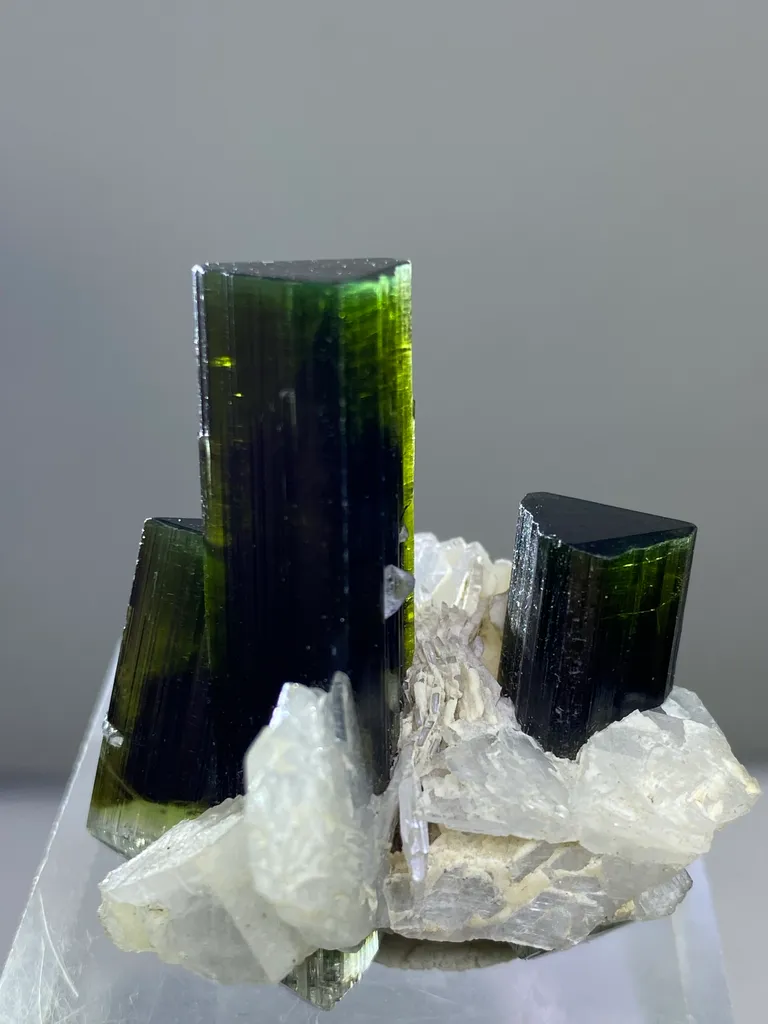 Tourmaline from Pakistan, Gilgit-Baltistan, Roundu District, Haramosh Mts., Stak Nala - image 5