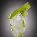 Tourmaline from Pakistan, Gilgit-Baltistan, Shigar District, Braldu Valley, Chhappu - image 5