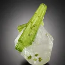 Tourmaline from Pakistan, Gilgit-Baltistan, Shigar District, Braldu Valley, Chhappu - image 6