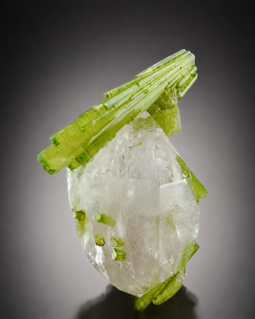 Tourmaline from Pakistan, Gilgit-Baltistan, Shigar District, Braldu Valley, Chhappu - image 8