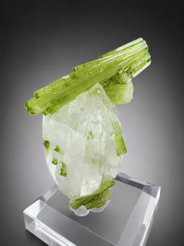 Tourmaline from Pakistan, Gilgit-Baltistan, Shigar District, Braldu Valley, Chhappu - image 2