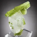 Tourmaline from Pakistan, Gilgit-Baltistan, Shigar District, Braldu Valley, Chhappu - image 2