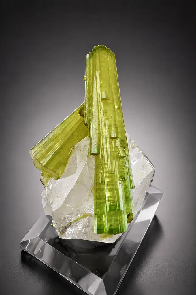Tourmaline from Pakistan, Gilgit-Baltistan, Shigar District, Braldu Valley, Chhappu - image 7