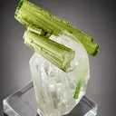Tourmaline from Pakistan, Gilgit-Baltistan, Shigar District, Braldu Valley, Chhappu - image 4