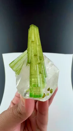 specimen video