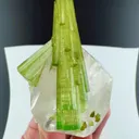 specimen video