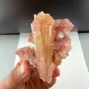 specimen video