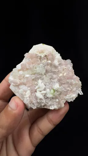 specimen video