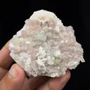 specimen video