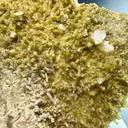 Tourmaline from Pakistan - image 6