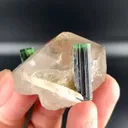 specimen video