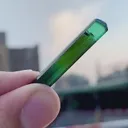 specimen video
