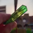 specimen video