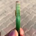 specimen video