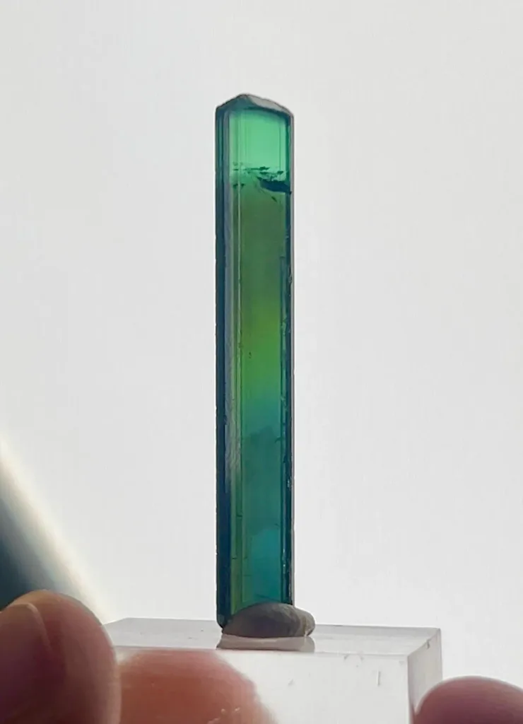 Tourmaline from Paprock, Paprok, Nuristan, Afghanistan - image 6