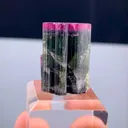 specimen video