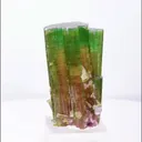 specimen video