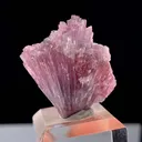 Tourmaline from Paprok, Nuristan, Afghanistan - image 6