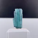 specimen video