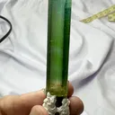 specimen video