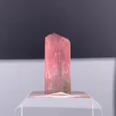 specimen video