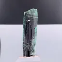 specimen video