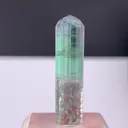 specimen video