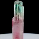 specimen video