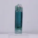 specimen video