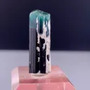 specimen video